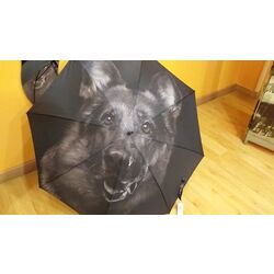 Paraguas perrito / pastor alemán. Complementos Paraguas . Color negro. Número 1. 